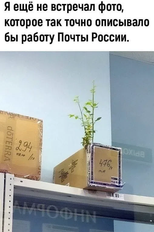 А оправляли сухофрукты))