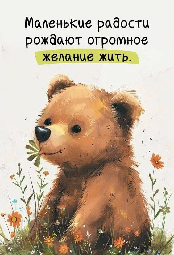 Открытки
