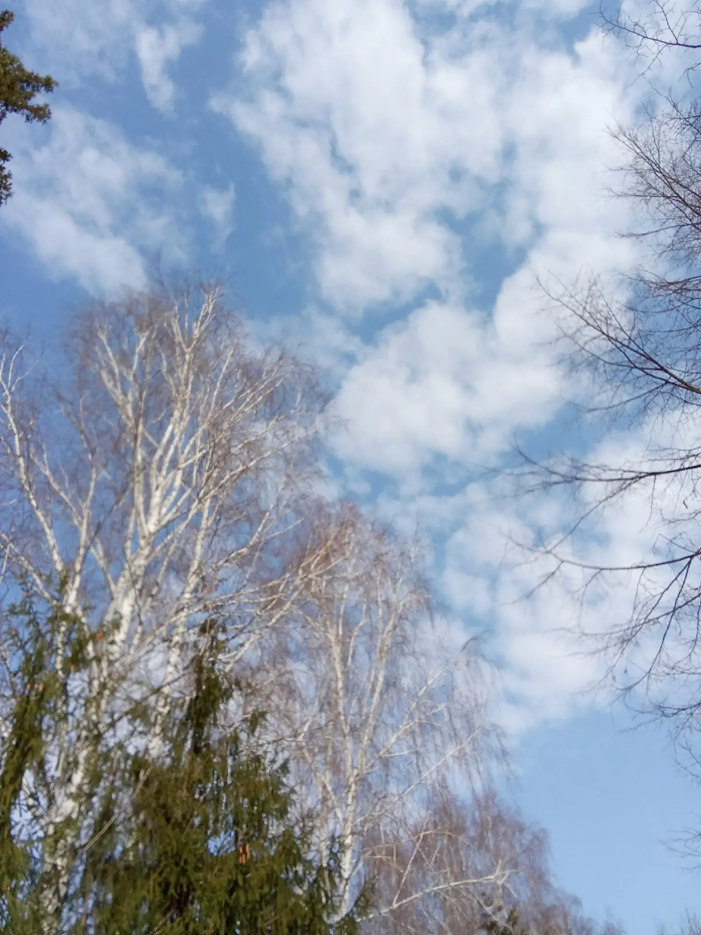 Доброе утро, какие первые дела вы делаете утром?📋