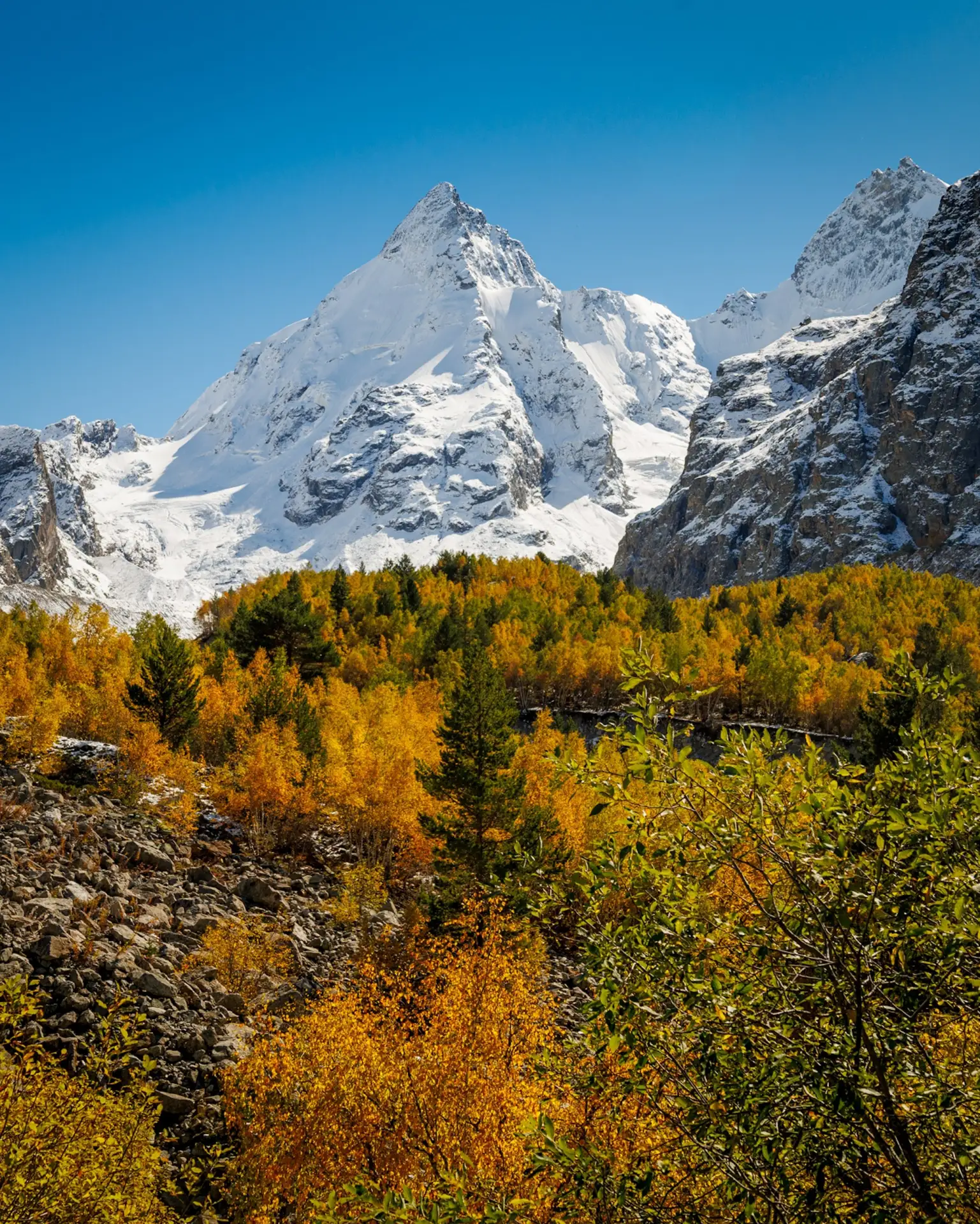Осень в горах. Ущелье Адылсу