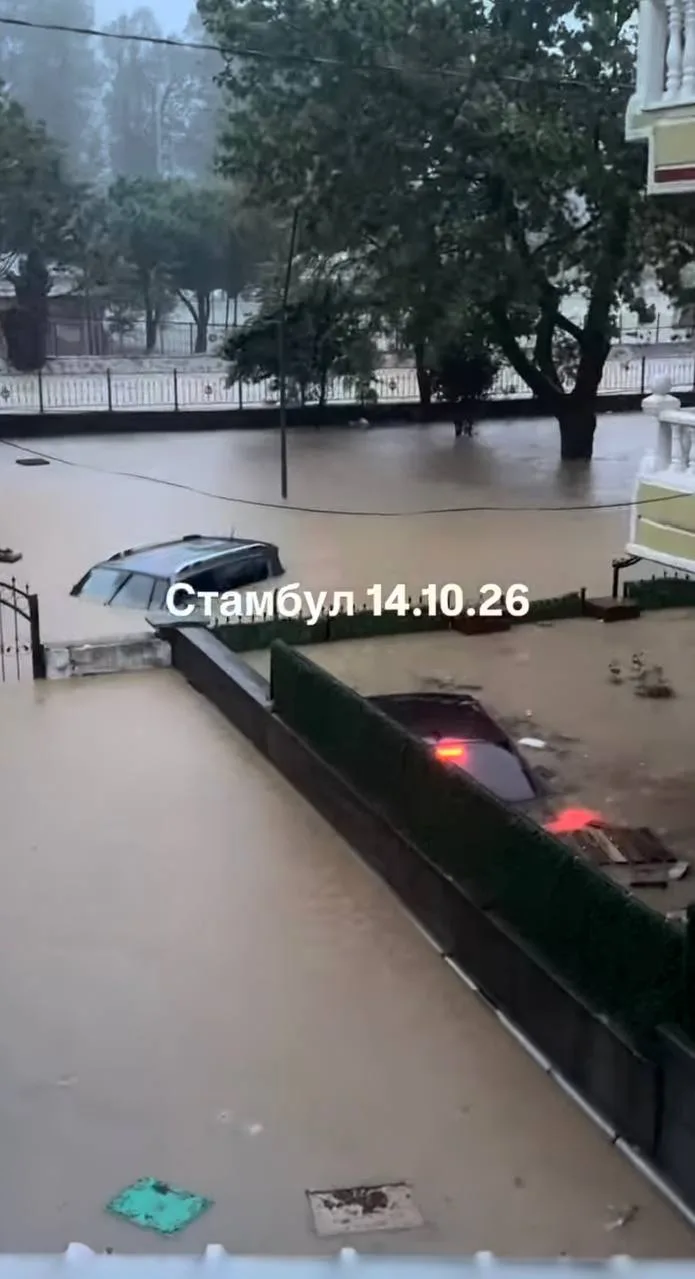 Найс прилетел)