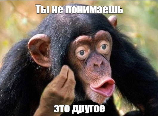 — Свинина грязное мясо! Её кормят всем подряд!