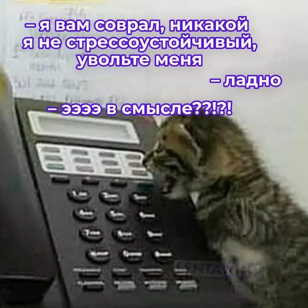 😪 Работодатели перестали удерживать россиян.