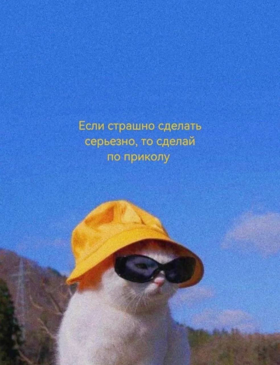 Мем дня