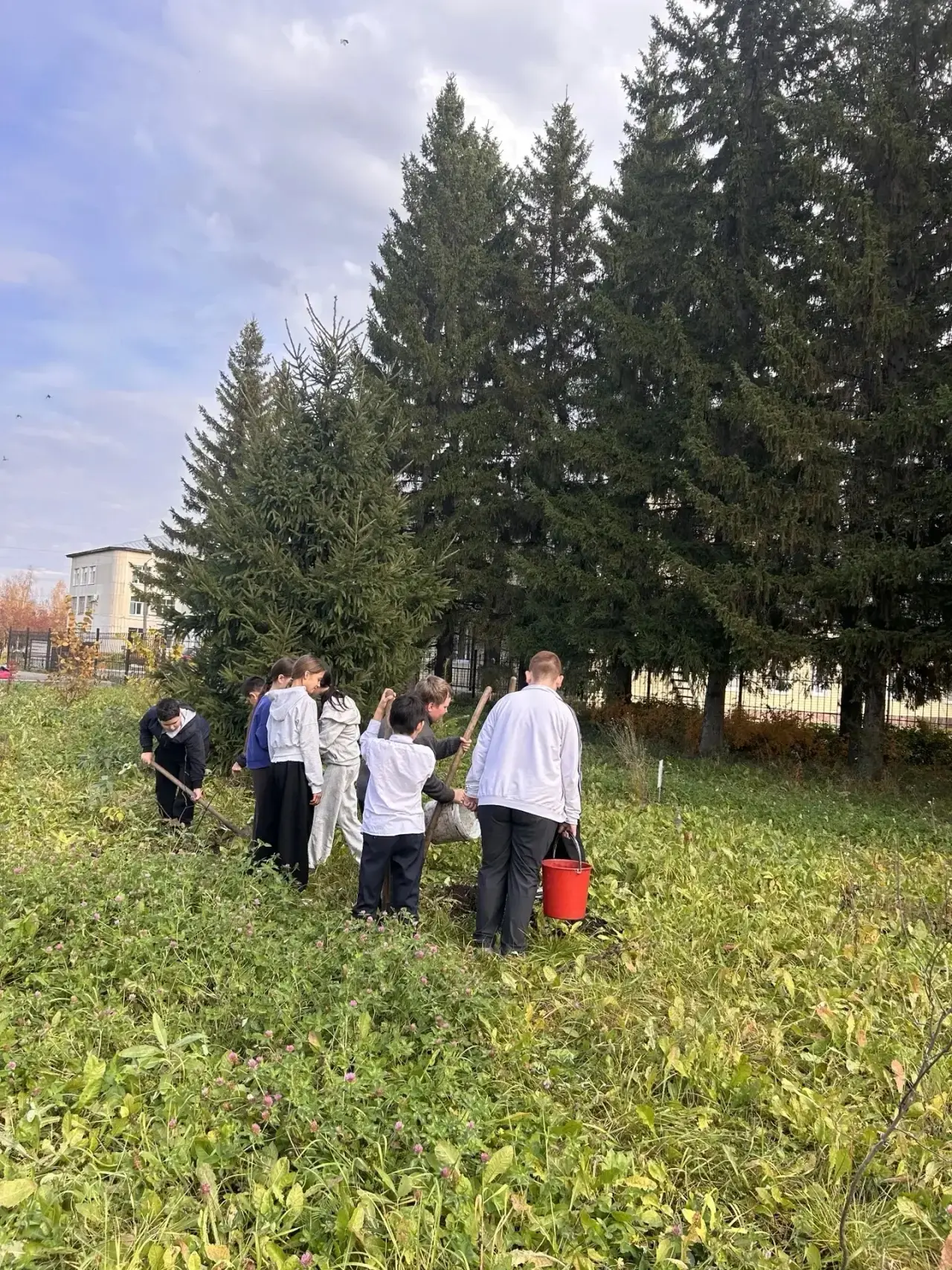 🌳 «Посади дерево — воспитай душу» 🌳