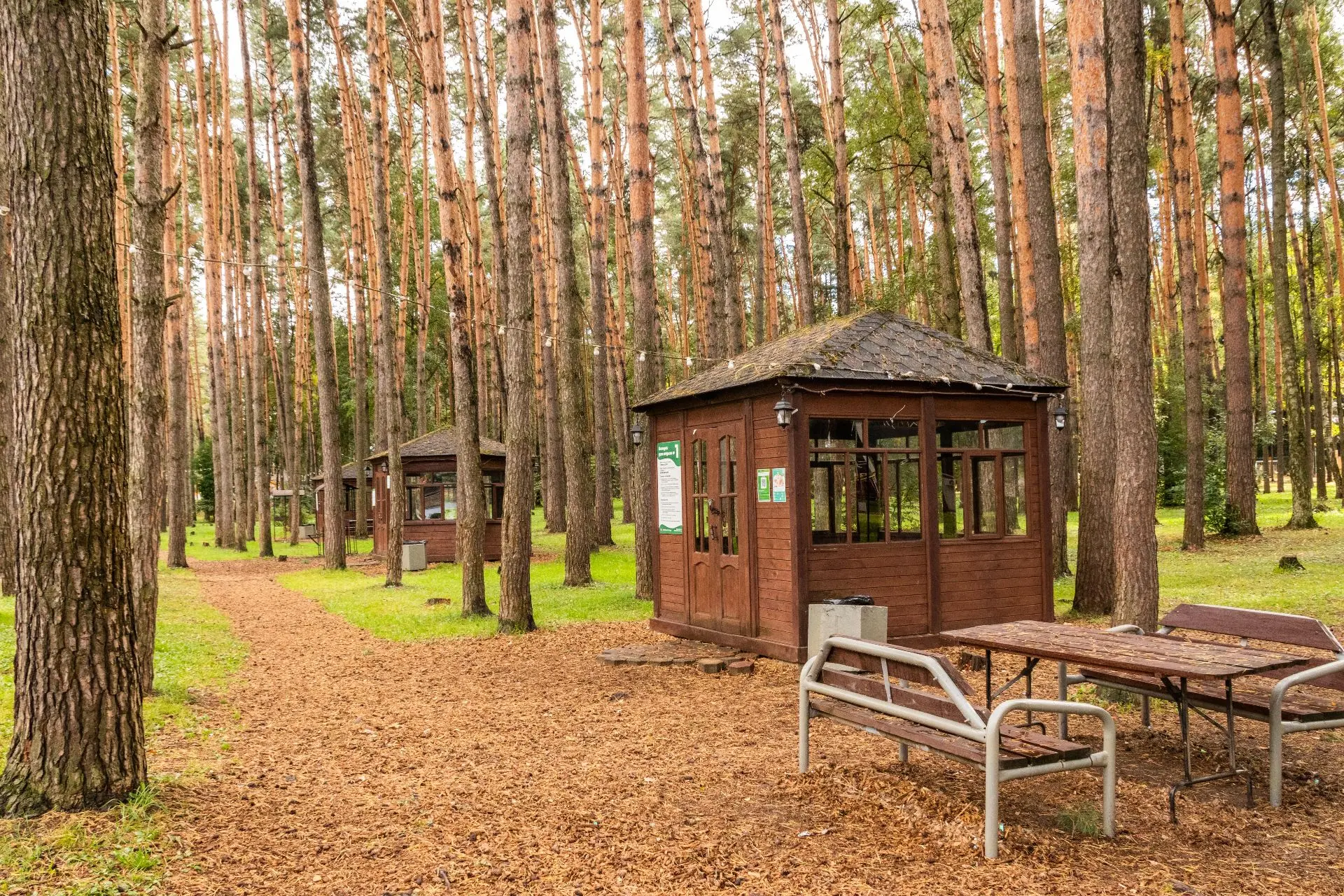 🍂 ВАША ОСЕНЬ БЕЗ ОЧЕРЕДЕЙ: Бронируйте место в парке «Ёлочки»!