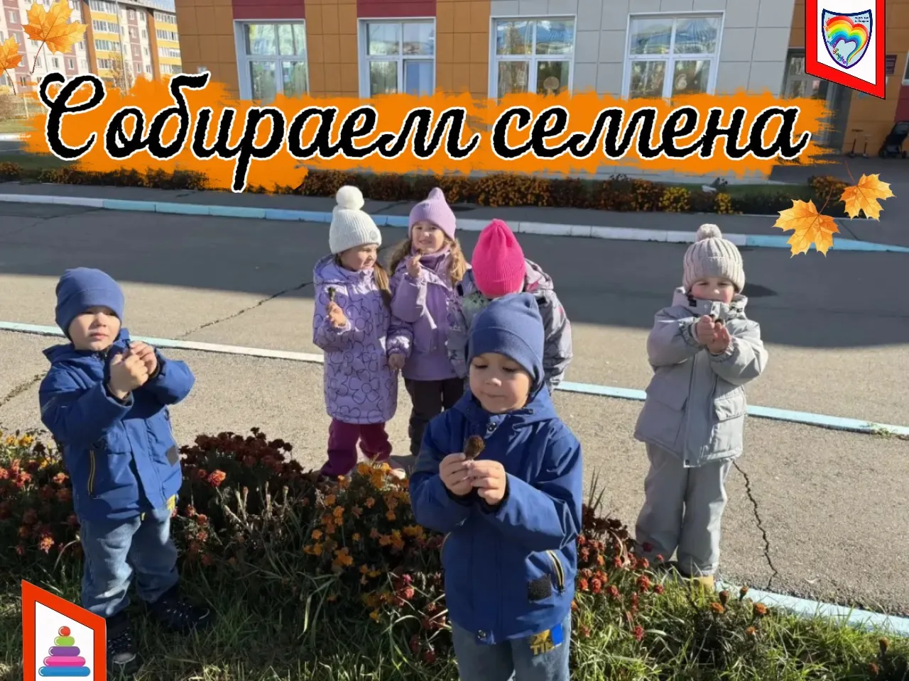 Вот и наступили 😔холода, отцвели цветы...🍂