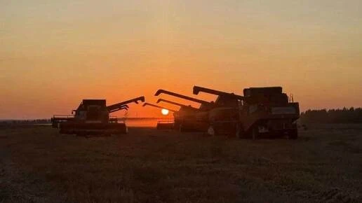 Уборочная кампания в Кузбассе близится к завершению