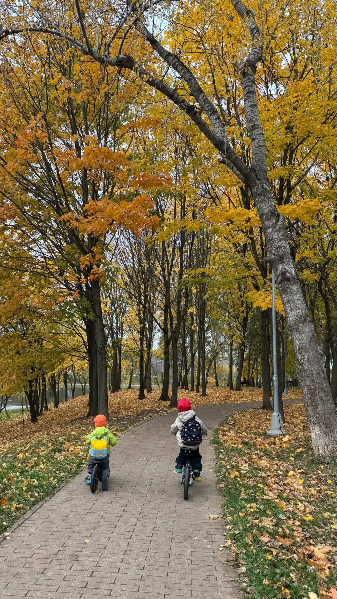 Традиционная воскресная прогулка🍂 такая хорошая погода сегодня! Подарок!)