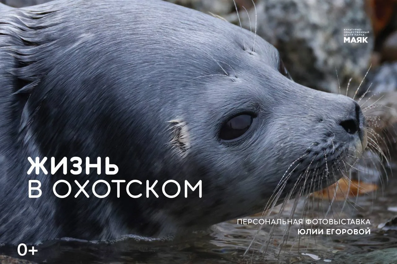 В Культурно-общественном центре начала работу персональная фотовыставка «Жизнь в Охотск...