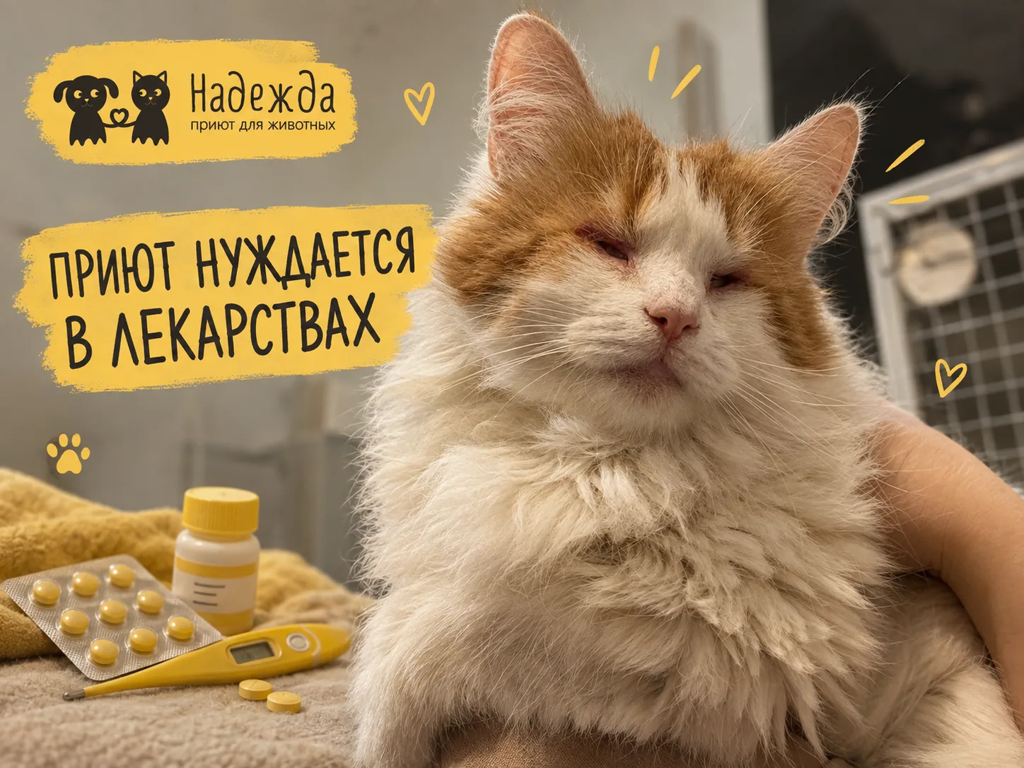 «Давайте завтра» — не вариант, когда речь о лекарствах.