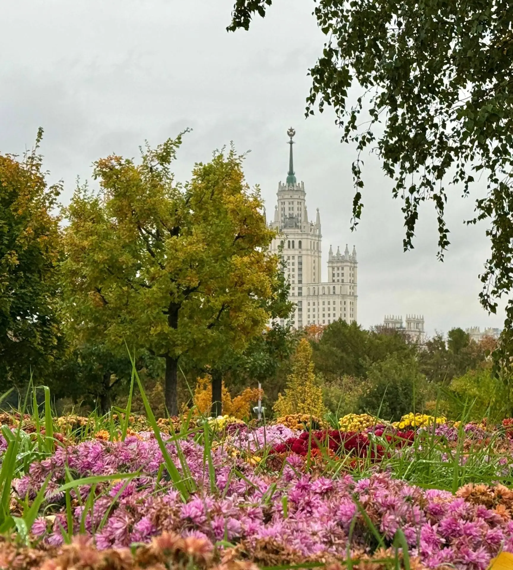 🍂 Доброе утро, соседи!