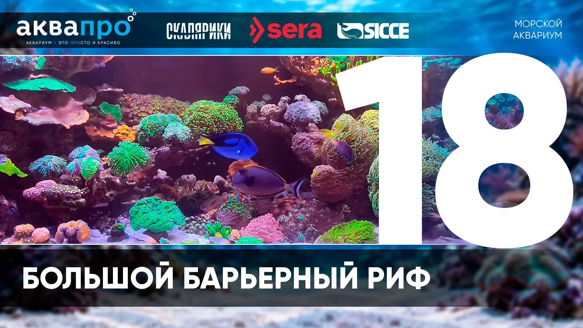 Фамилия Имя Отчество: Каюпова Татьяна Сергеевна