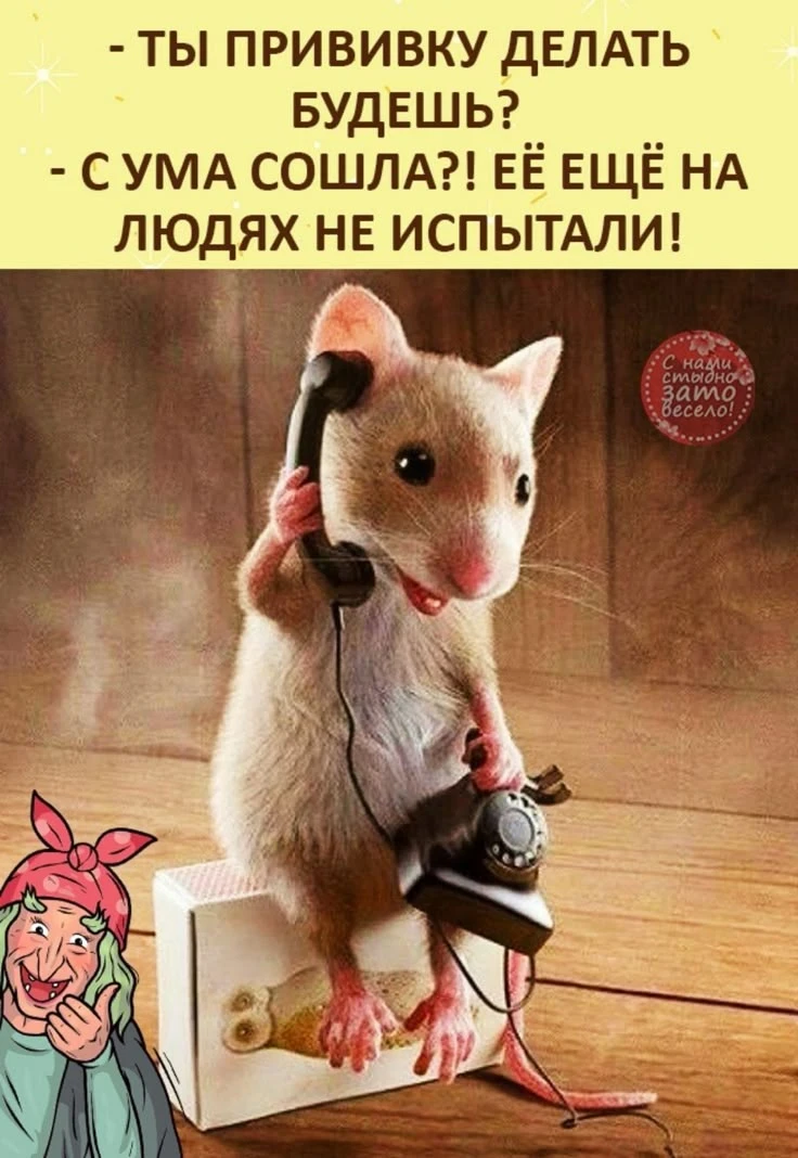 👀MAX С Юмором‼️
