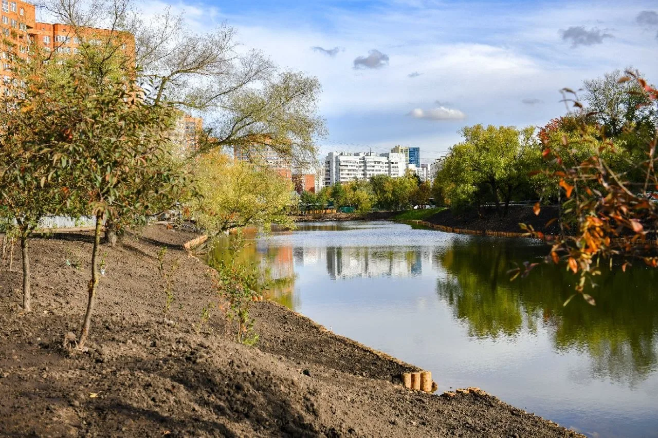 🌳 Барашкинский пруд благоустроен почти на 85%