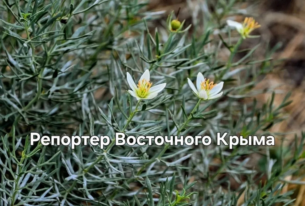 Жителя Ленинского района осудили за "лечение нетрадиционными методами" и "борьбу со злы...
