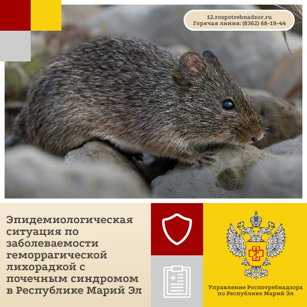 За прошедшую неделю (с 5 по 11 октября) в Республике Марий Эл по  зарегистрировано 8 сл...