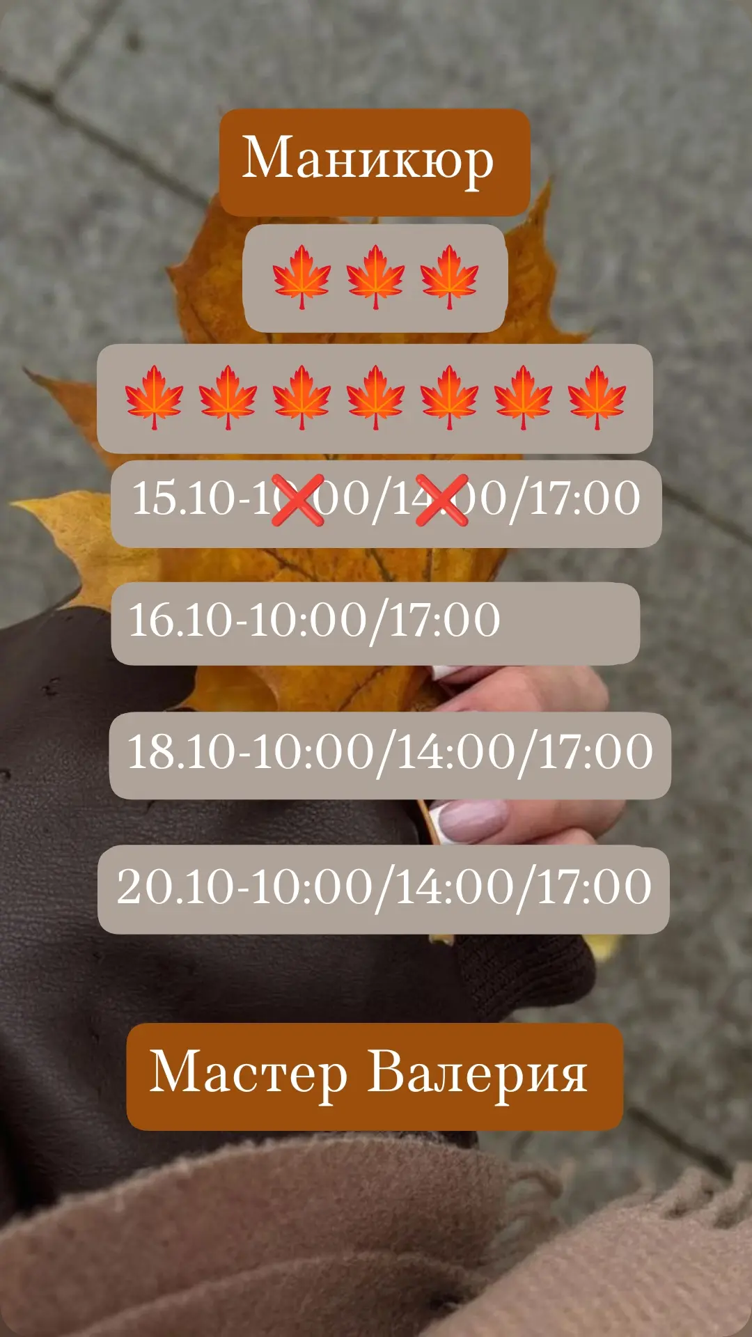 Свободные окна💫