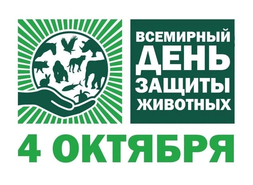 Волонтерский отряд "Добрые сердца"❤ школы N ️92