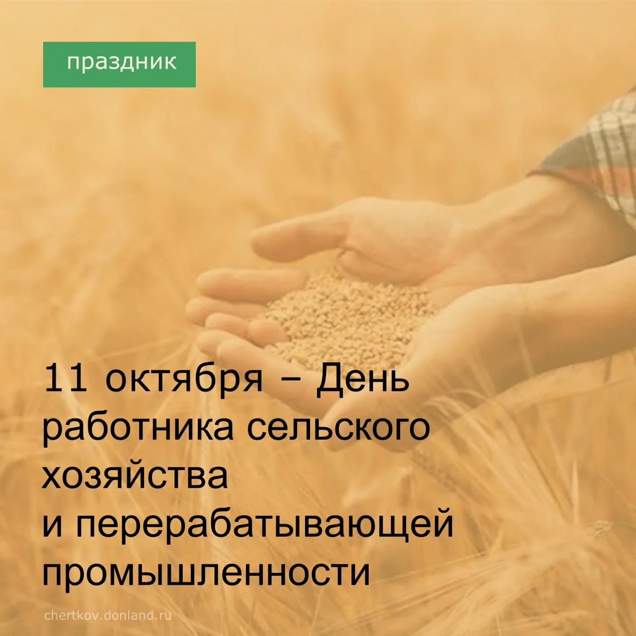 🌻День работника сельского хозяйства и перерабатывающей
