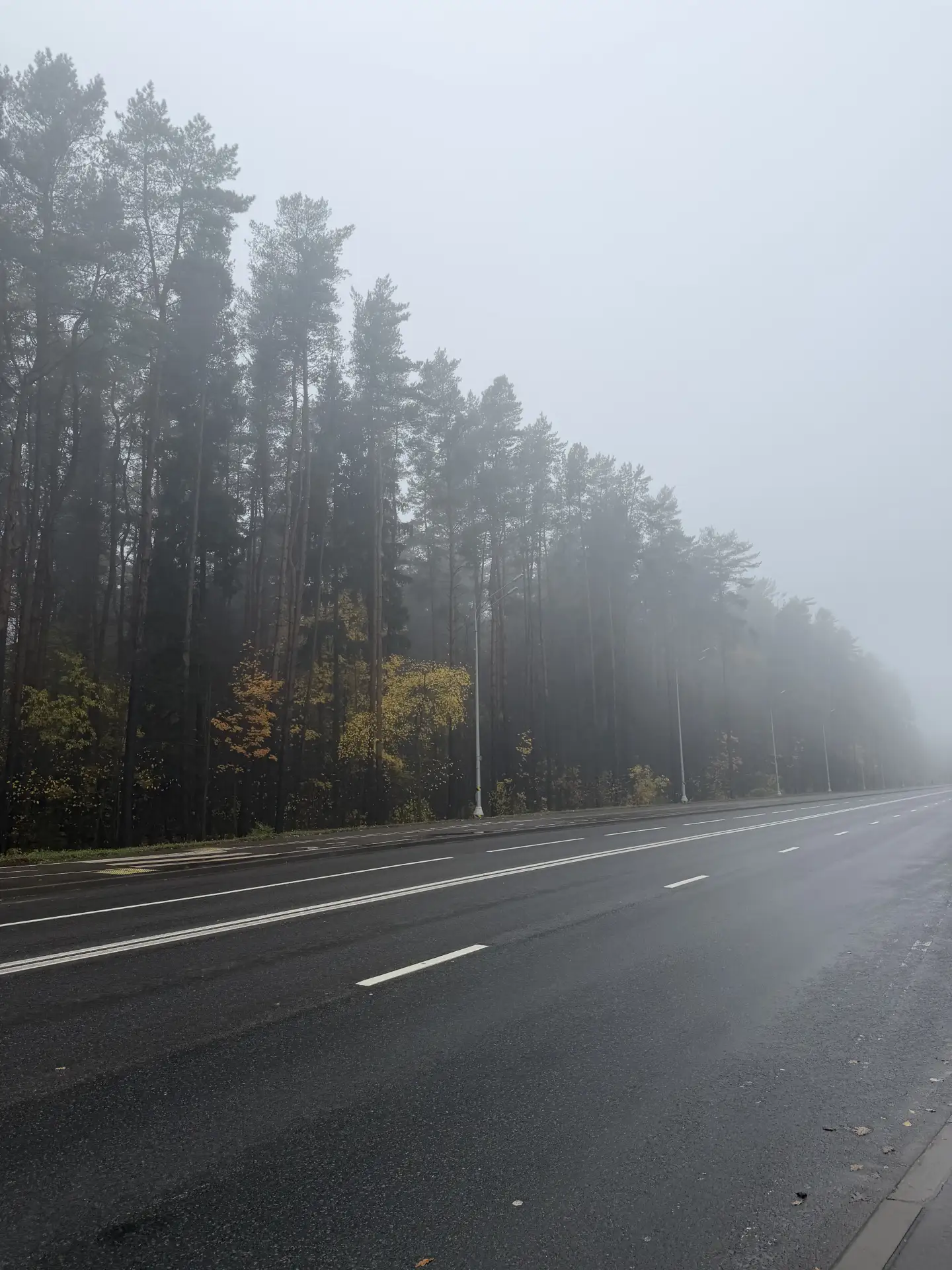 Вот это у нас сегодня пейзаж, как в Хогвартсе🍂😌 на дороге очень плохо видно, будьте о...