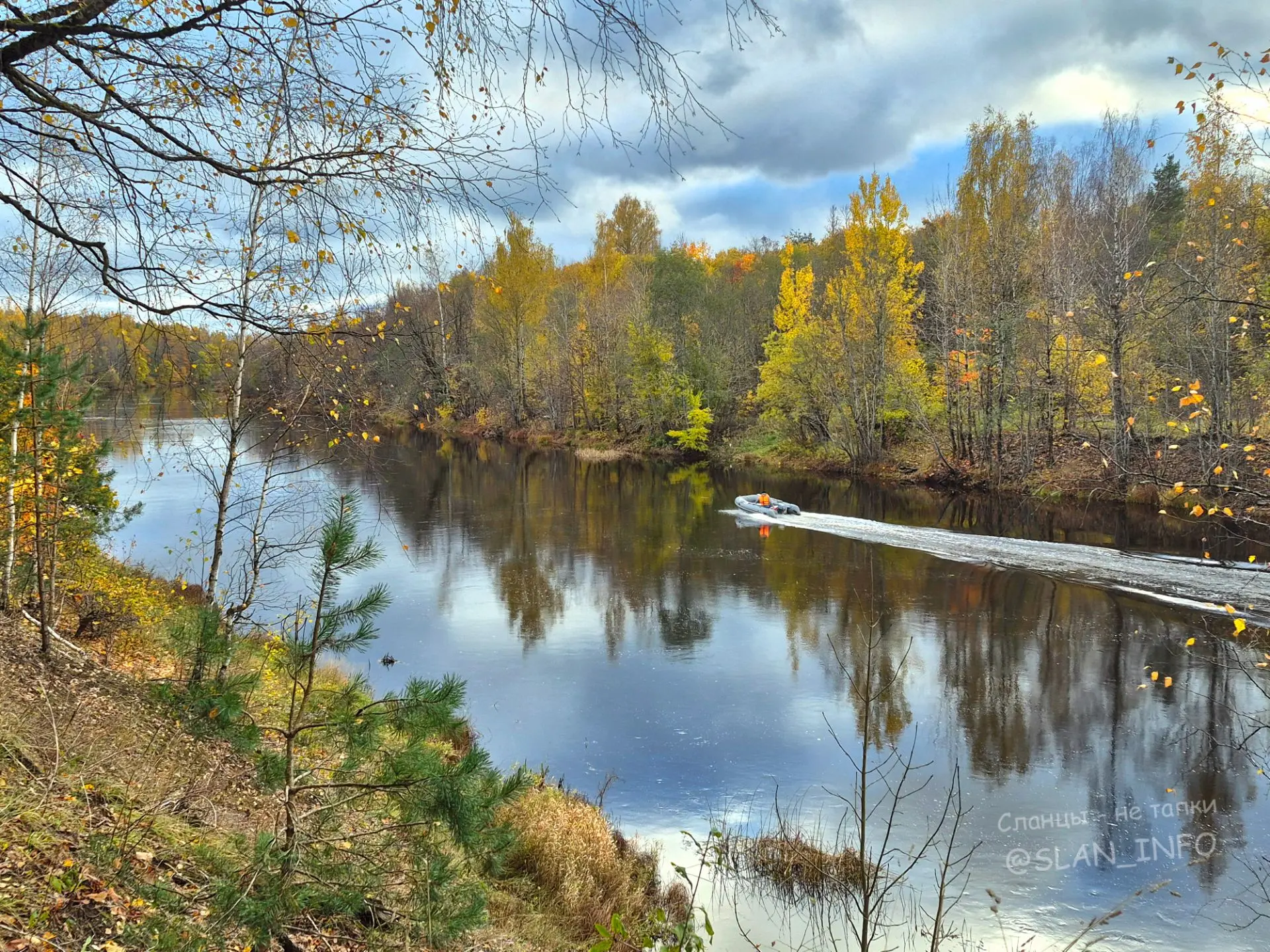 Осенний 🍁 🍂  🍁 берег.