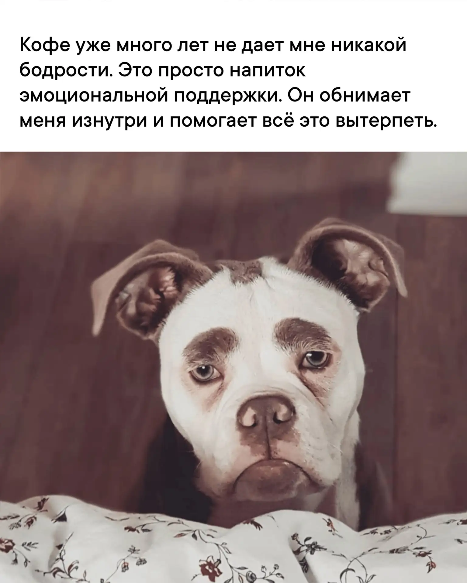 ЯНТАРНОЕ ДОБРОЕ УТРО