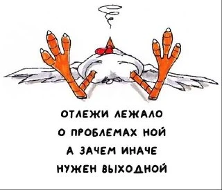 #выходные