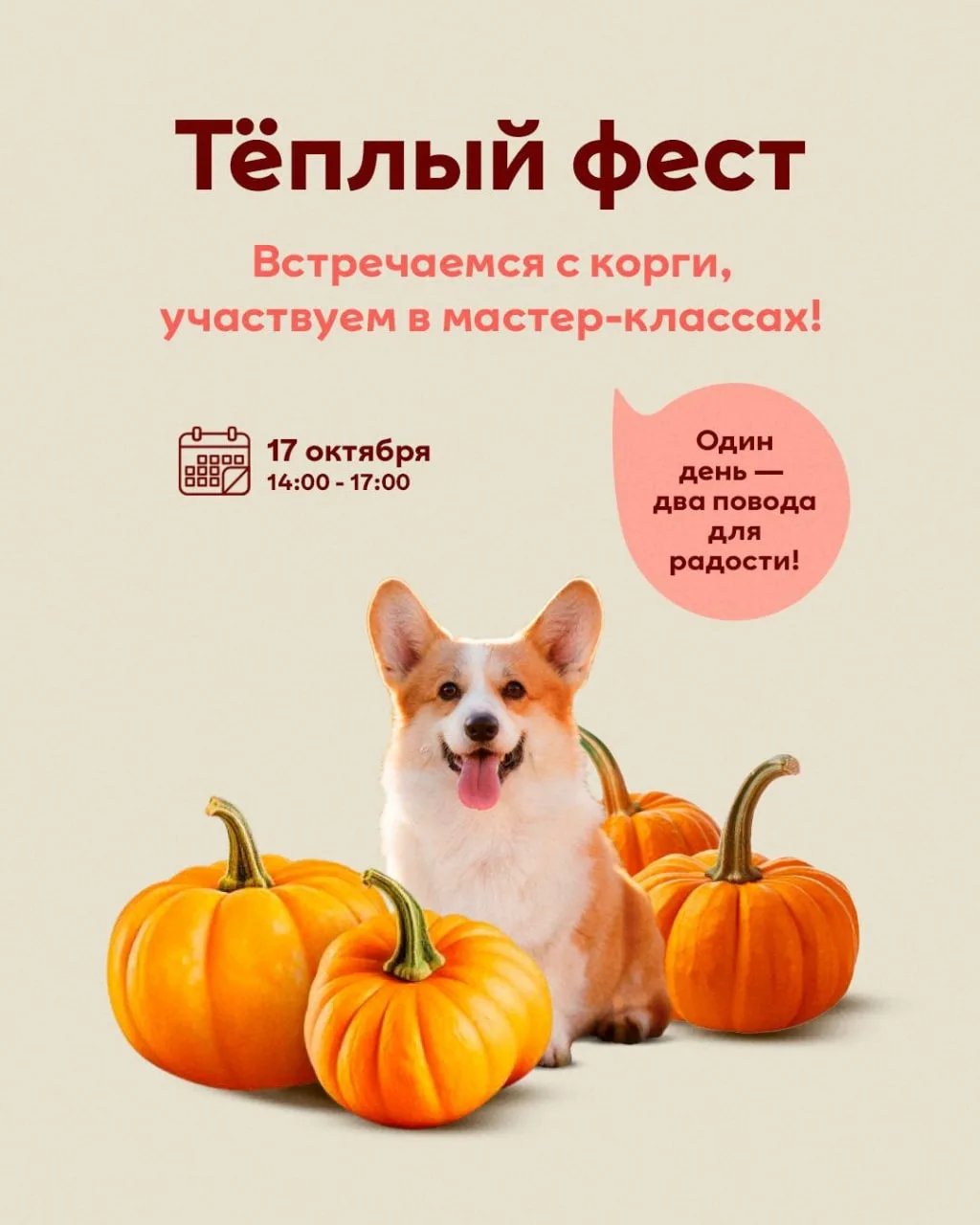 🎃Осень, тыквы и… корги! Кажется, мы придумали идеальное сочетание 🧡