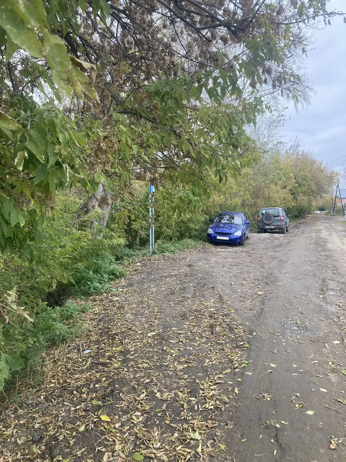 Прежний вид