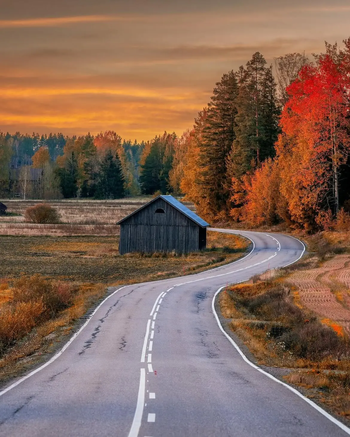 Собрал несколько осенних кадров, которые захотелось сохранить. 🍂📷