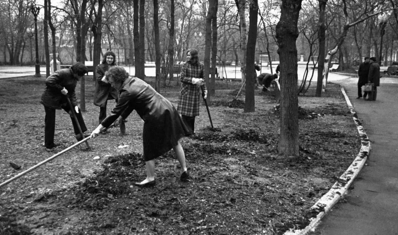 🌳 Сад имени Баумана хранит историю старой Москвы