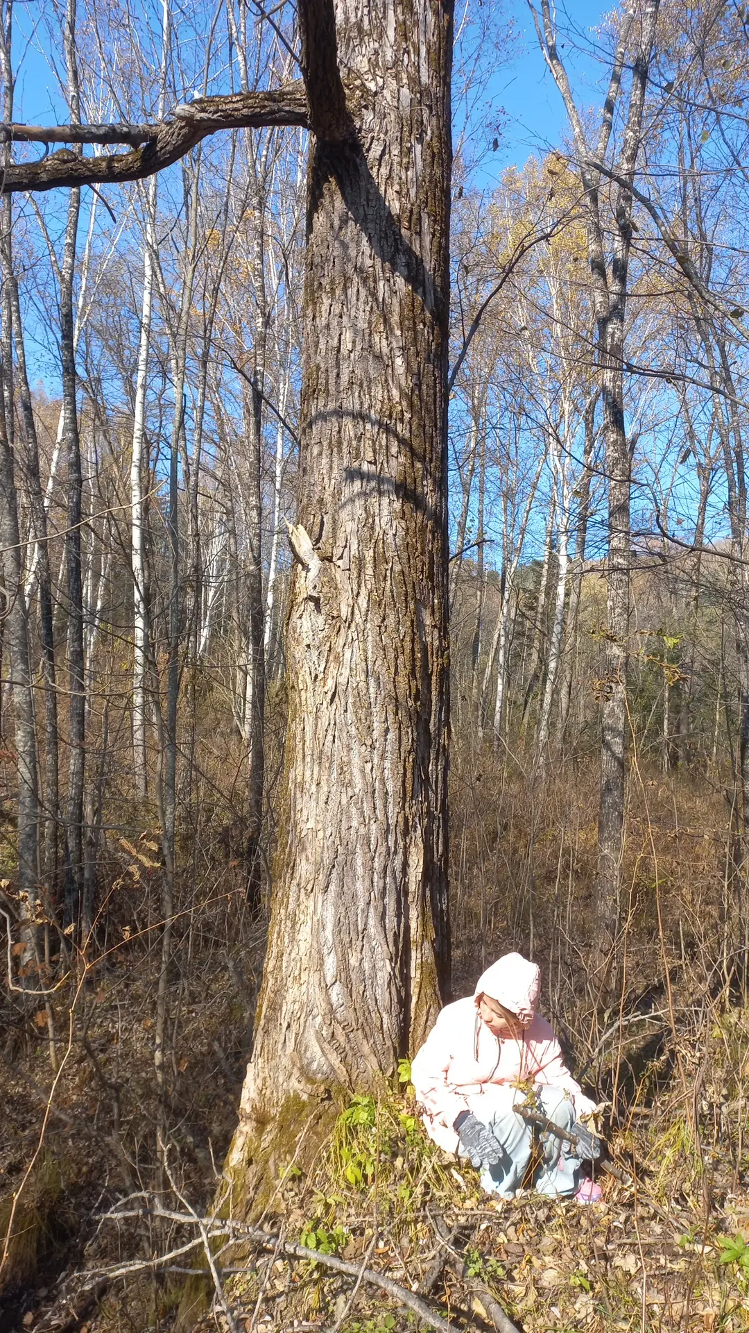 Фото