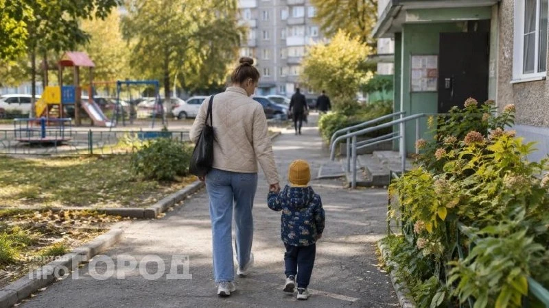 В Дзержинске мать двоих детей выбивает через суд 963 тысячи маткапитала