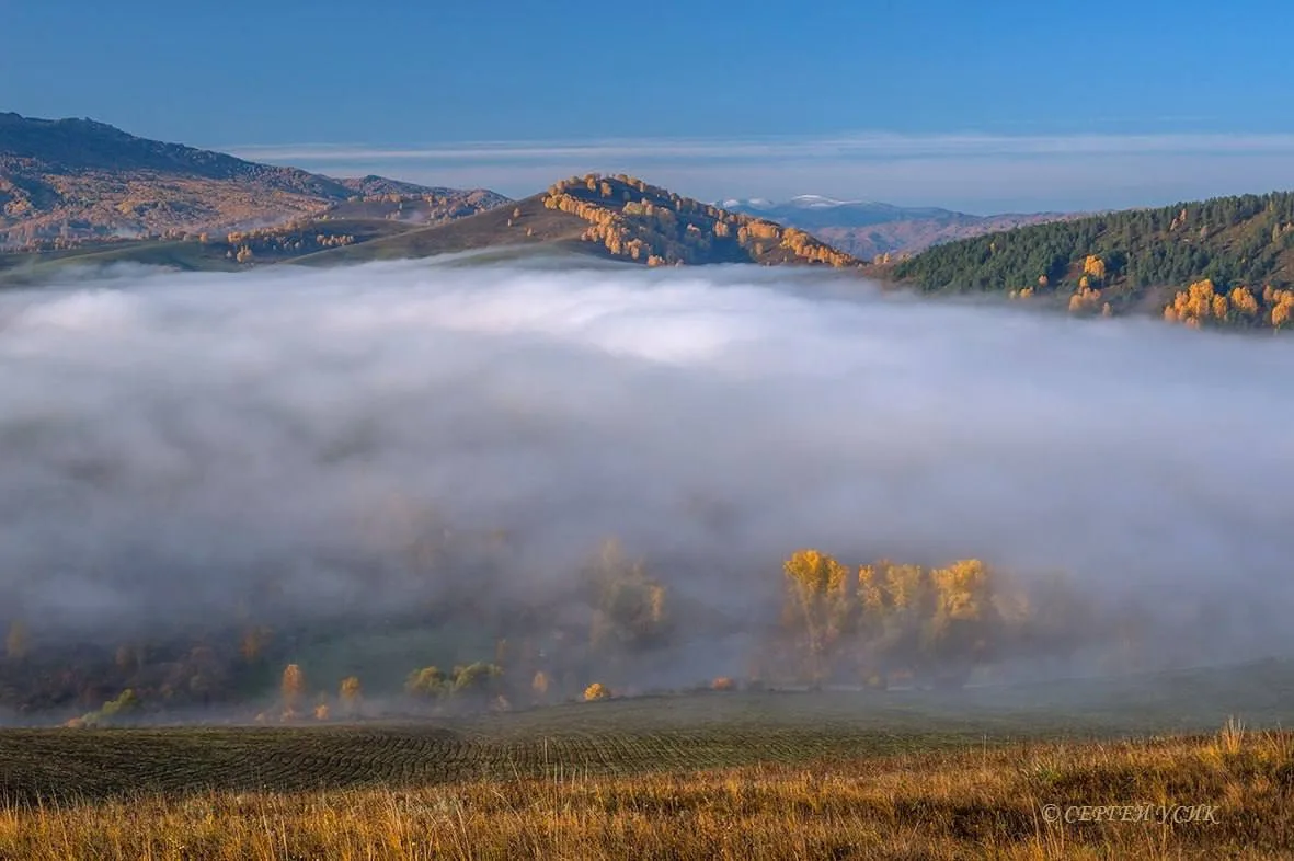 Вы посмотрите какая красота🤩