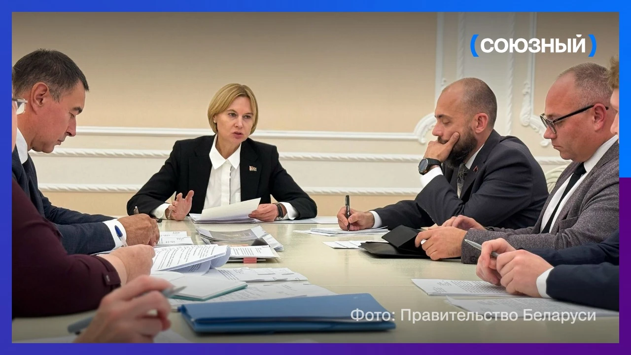 Заместитель премьер-министра Беларуси Наталья Петкевич провела рабочее совещание, посвя...