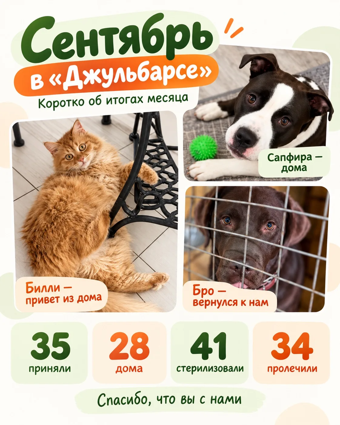 Сентябрь в «Джульбарсе»: 28 добрых историй и море вашего тепла!