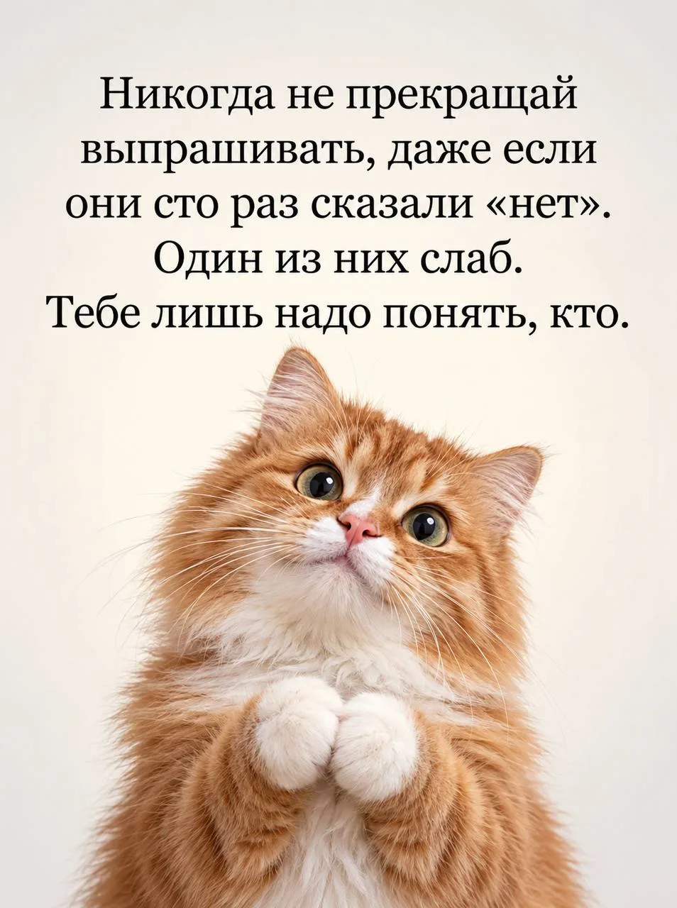 О слабости и настойчивости 😊