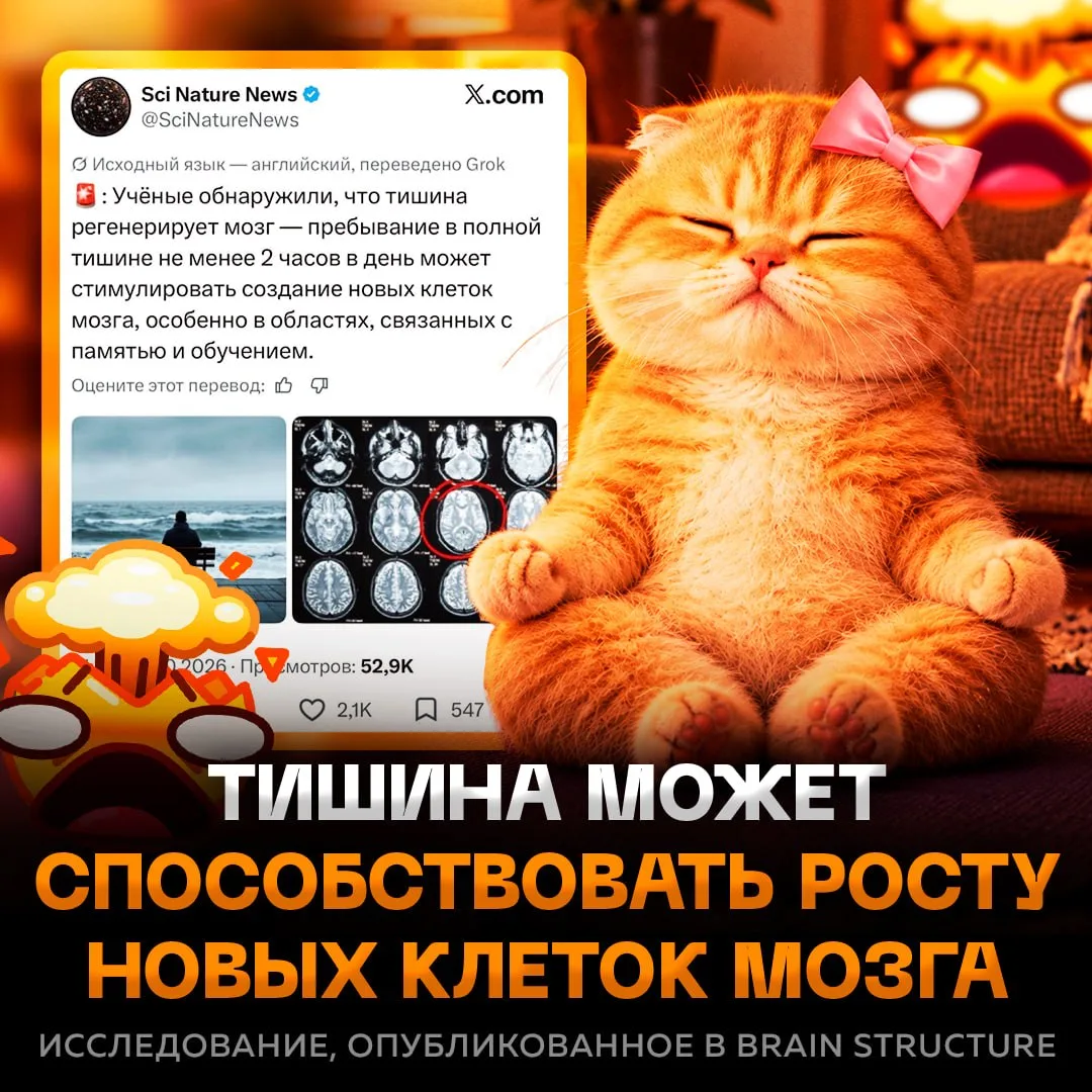 🤫 Тишина РЕГЕНИРИРУЕТ МОЗГ — пребывание в полной тишине не менее 2 часов в день стимул...