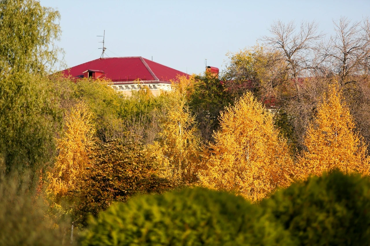 Осенние краски в парке "Дубки" в Новокуйбышевске