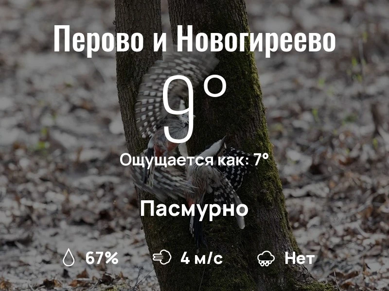 Что с погодой в Перово и Новогиреево?