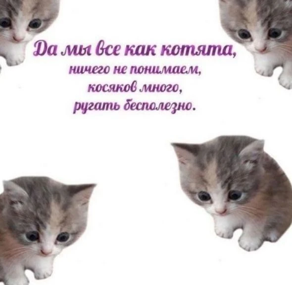 Ставь лайк! ❤️