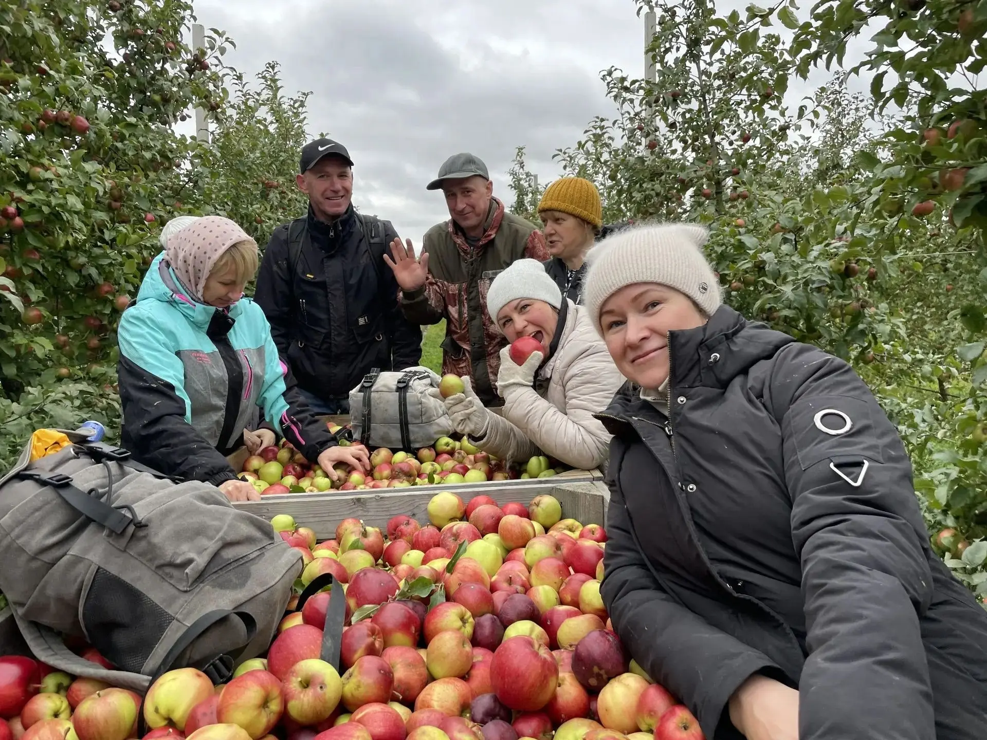 🎉 Команда Новодугинского центра досуга приняла участие в сборе урожая яблок в «Городня...