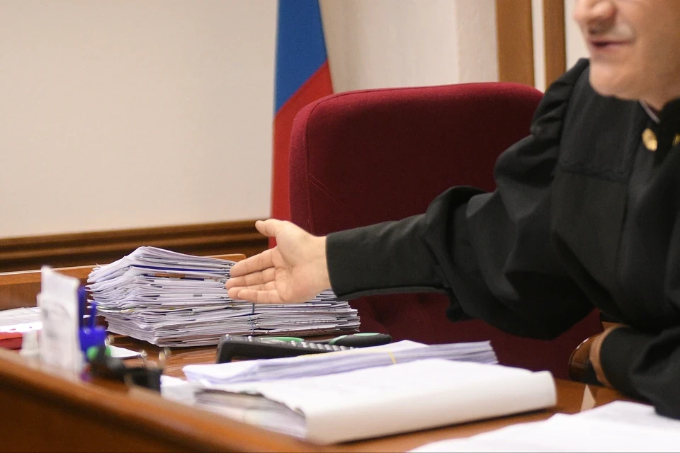 Голосовала за свой карман: Челябинский областной суд отстранил от власти депутата-бизне...