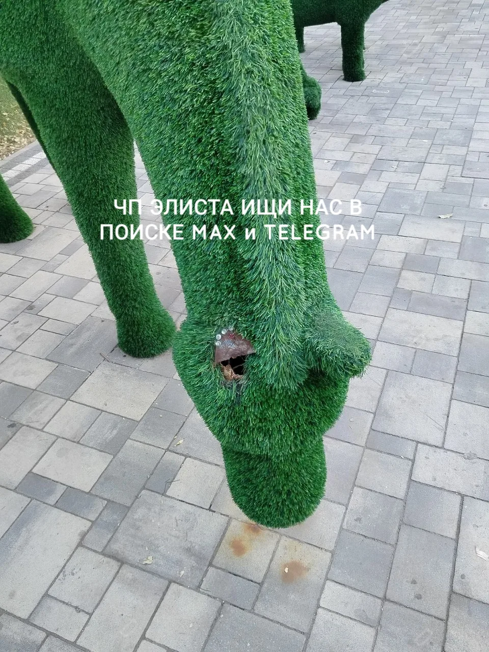 ❗️Варварство в парке Элисты: оторвано ухо у декоративной лошади. верните на место !
