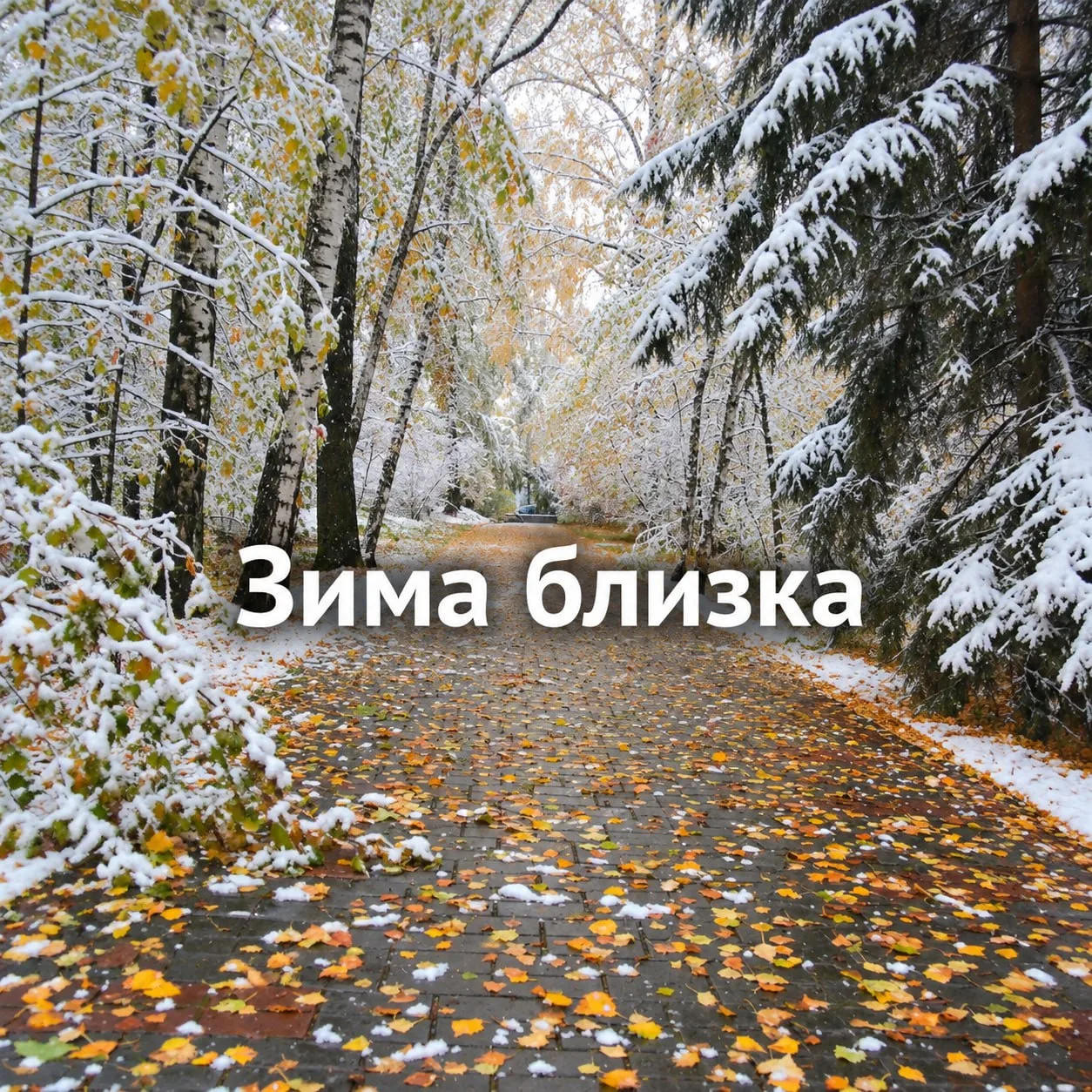 Готовы к зиме? ❄