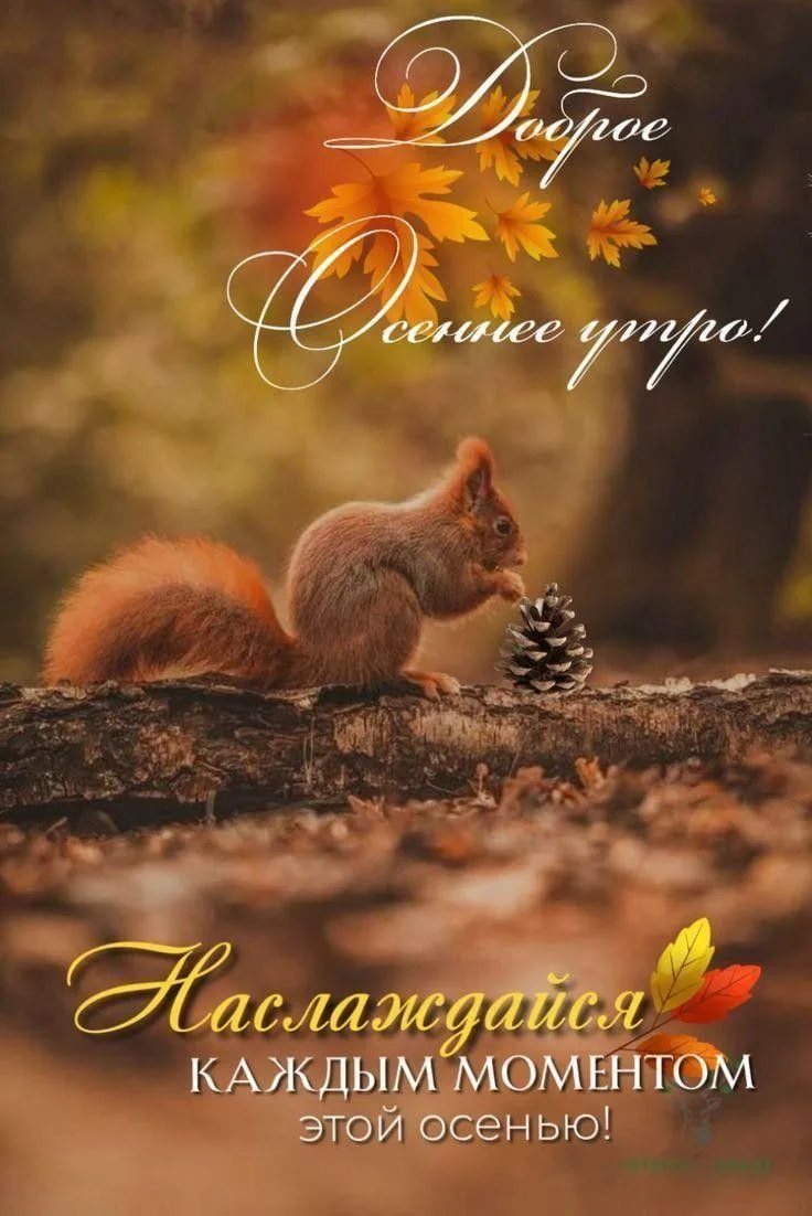 МИР ПОЗИТИВА 🤩 ОТКРЫТКИ!