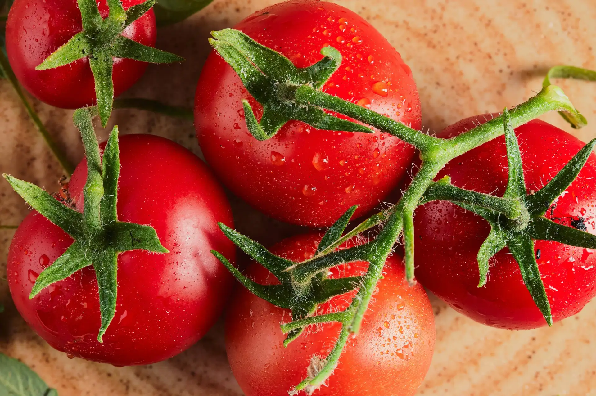 🍅 Томатная паста и память: результаты эксперимента