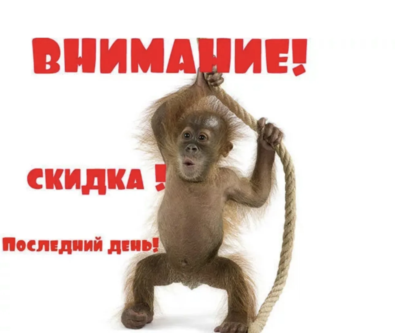 ‼️АКЦИЯ -ПОСЛЕДНИЙ ДЕНЬ‼️