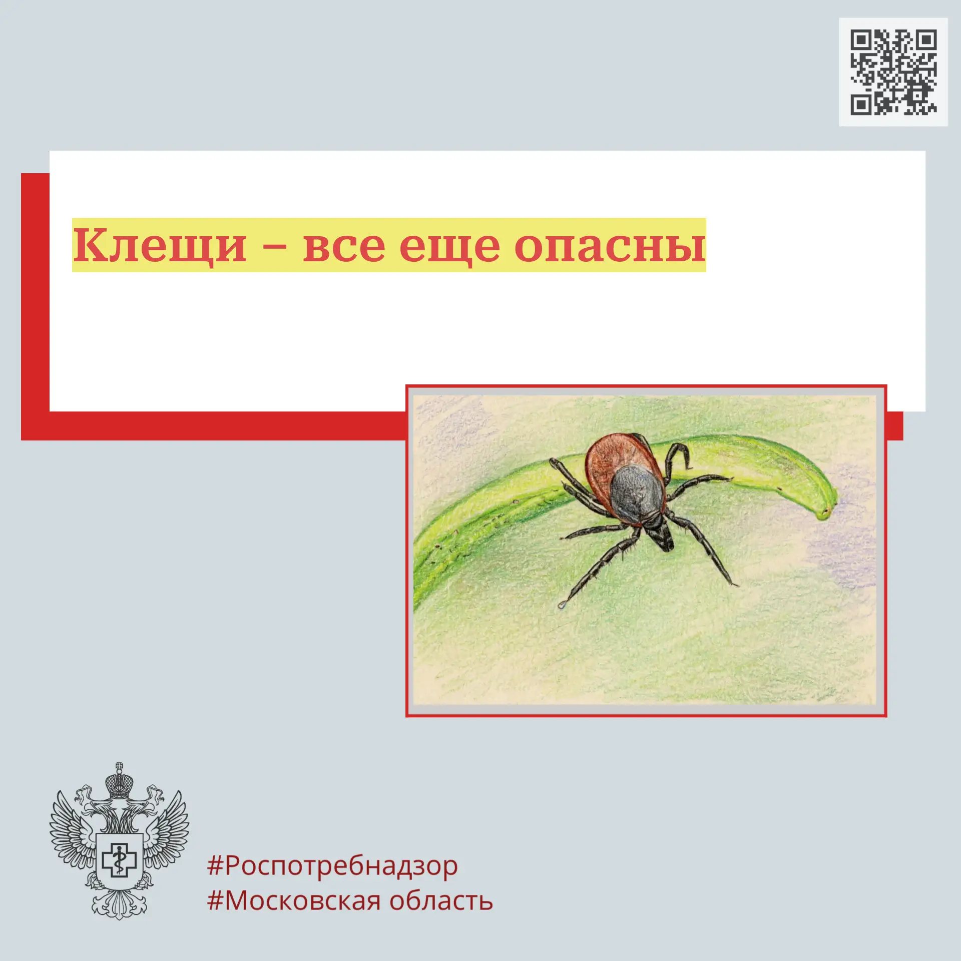 Клещи – все еще опасны